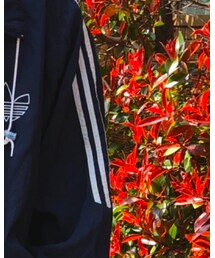 adidas | その他トップス