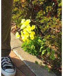 CONVERSE ALL STAR | スニーカー