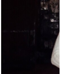 ZARA | ニット/セーター