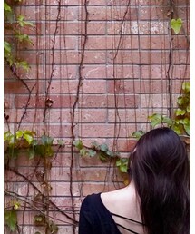 Hollister | Tシャツ/カットソー