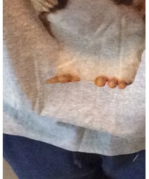 UNIQLO | Tシャツ/カットソー