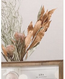 ジョンソンストア | インテリア