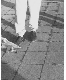 adidas SB | スニーカー