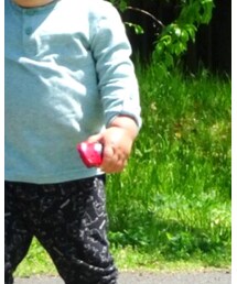 マックのトミカ | その他