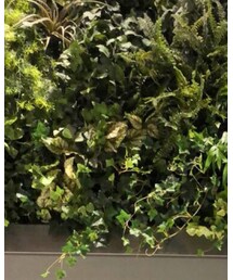 COLONY 2139 | シャツ/ブラウス