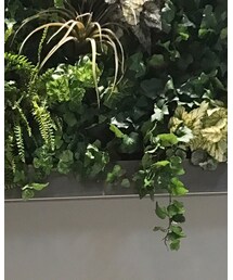 COLONY 2139 | Tシャツ/カットソー