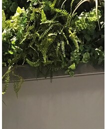 COLONY 2139 | タンクトップ