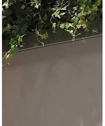 COLONY 2139 | カーディガン/ボレロ