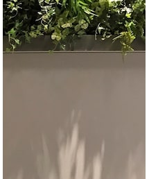 COLONY 2139 | ワンピース/ドレス