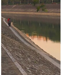 🈚️ | その他トップス