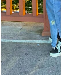 VANS | スニーカー