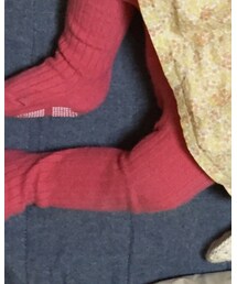 しまむら | タイツ/ストッキング