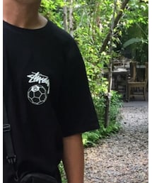 STUSSY | Tシャツ/カットソー