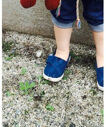 TOMS | シューズ