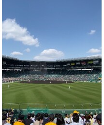 甥っ子と甲子園 | その他