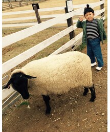 放牧🐏 | その他