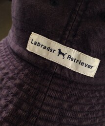 Labrador Retriever | ハット