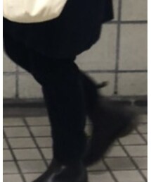 ADAM ET ROPE' | その他パンツ