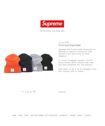 Supreme | × visvim®︎ cashmere beanie(ニットキャップ/ビーニー)