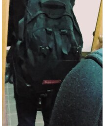 Supreme  | バックパック/リュック