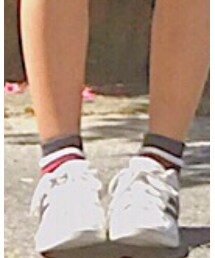 靴下屋 | ソックス/靴下