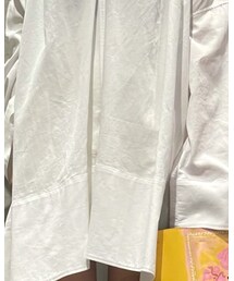 POSTELEGANT | シャツ/ブラウス