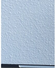 SUNSEA | トップス