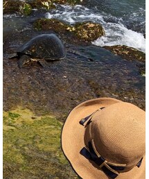 Athena New York | ハット