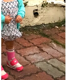 roots | タイツ/ストッキング