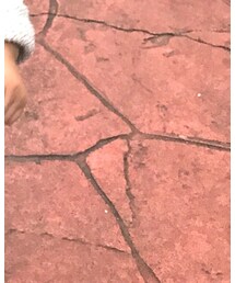 H&M | デニムパンツ