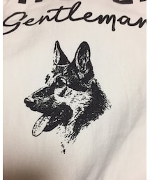MR.GENTLEMAN | MR.GENTLEMAN champion コラボ(Tシャツ/カットソー)