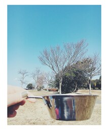 デイキャンプ🏕 | その他