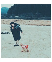 デイキャンプ🏕 | その他
