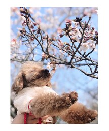 その他 | その他
