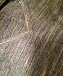 Tシャツ/カットソー