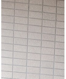 GRAND GLOBAL | サングラス