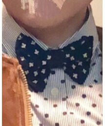 jupe by jackie | 蝶ネクタイ