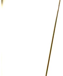 FOREVER 21 | その他