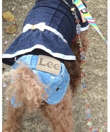 Lee | デニムスカート