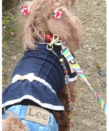 ROBERTA DI CAMERINO | チュニック