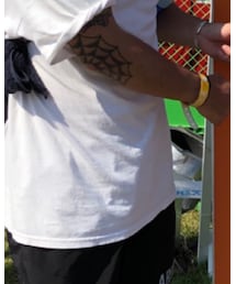 STUSSY | Tシャツ/カットソー