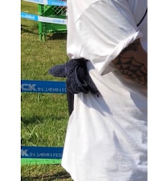 Herschel Supply | バッグ