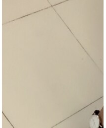 Daniel Wellington | アナログ腕時計