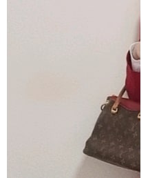 LOUIS VUITTON | バッグ