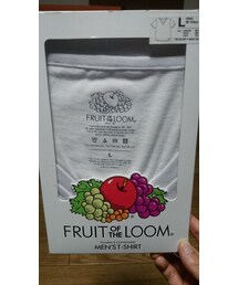 FRUIT OF THE LOOM | Tシャツ/カットソー