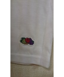 FRUIT OF THE LOOM | Tシャツ/カットソー