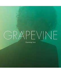 GRAPEVINE | Burning Tree(音楽/本・雑誌)
