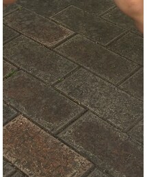 adidas | スニーカー