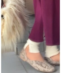 LOWRYS FARM | レギンス/スパッツ