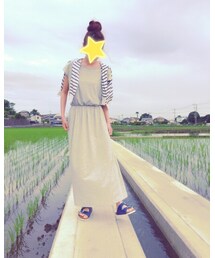 近所の田んぼ | その他